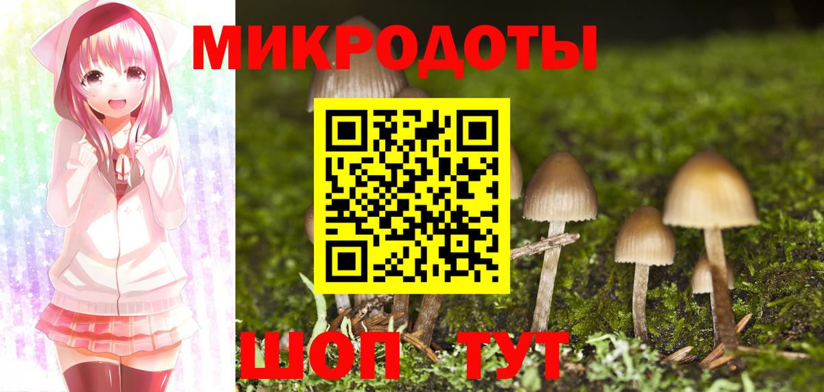 Псилоцибиновые грибы GOLDEN TEACHER  Псилоцибиновые грибы мицелий  Вход с VPN  Заволжье 